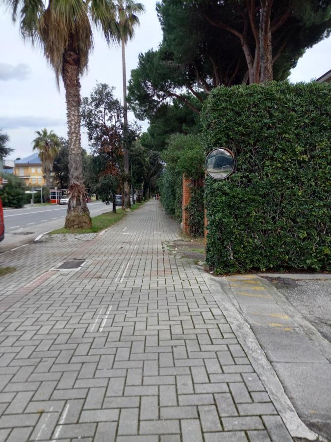Bilocale Climatizzato A 850M Dalla Spiaggia Casa Katia Marina di Massa Dış mekan fotoğraf