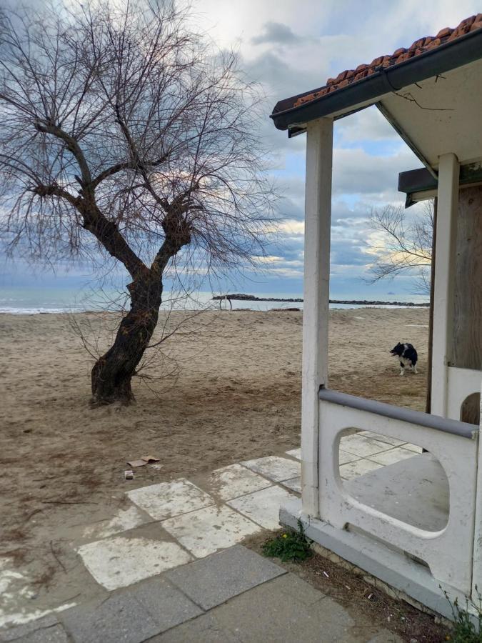 Bilocale Climatizzato A 850M Dalla Spiaggia Casa Katia Marina di Massa Dış mekan fotoğraf
