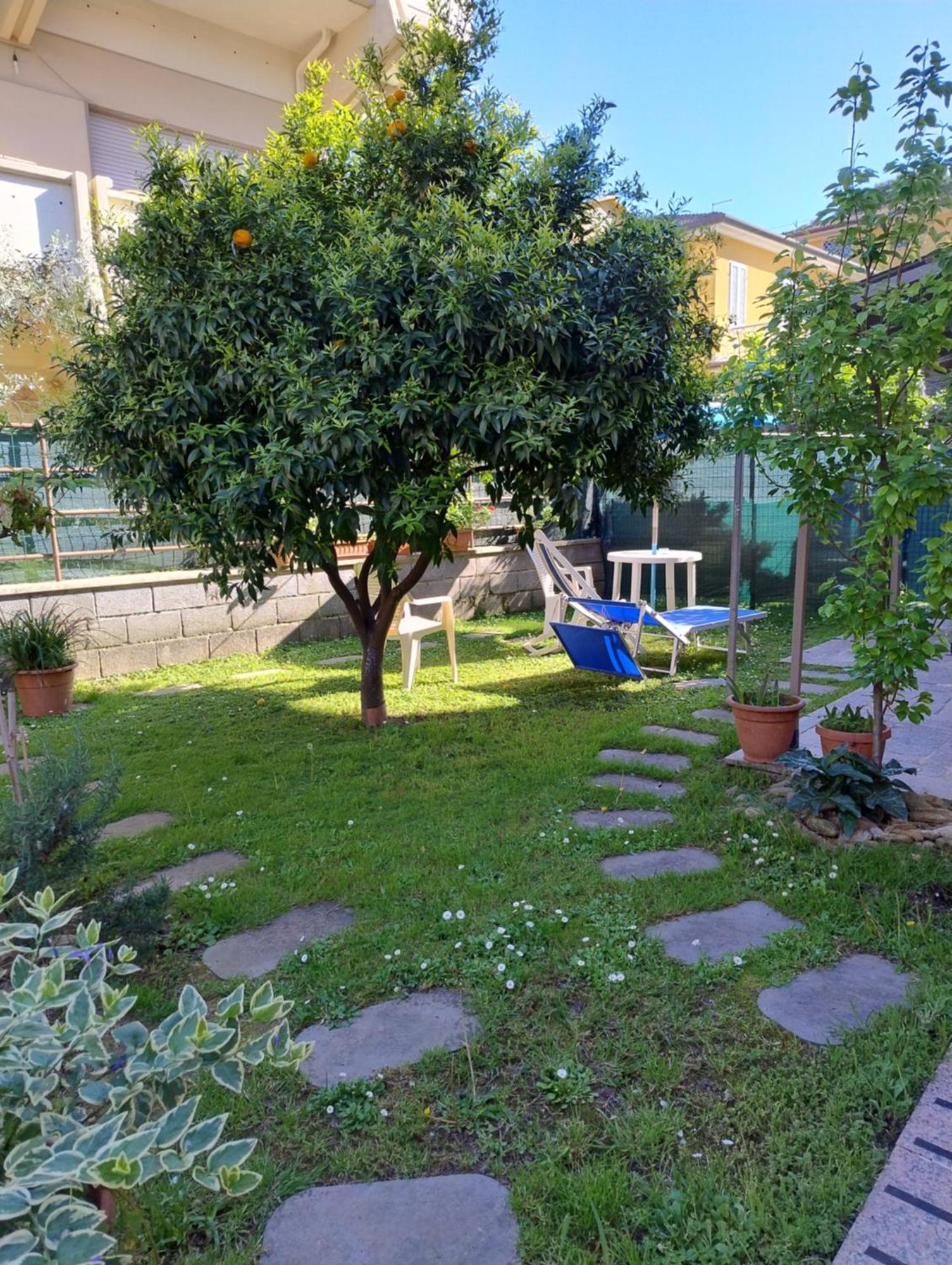 Bilocale Climatizzato A 850M Dalla Spiaggia Casa Katia Marina di Massa Dış mekan fotoğraf